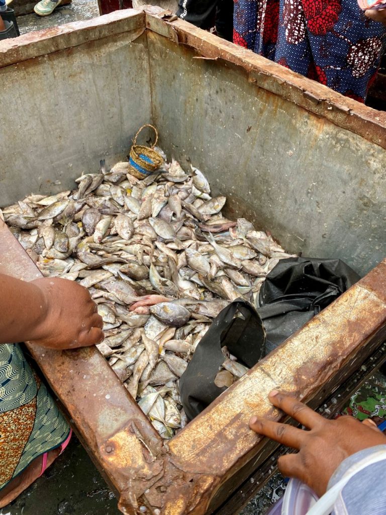 Kivukoni fish market visit