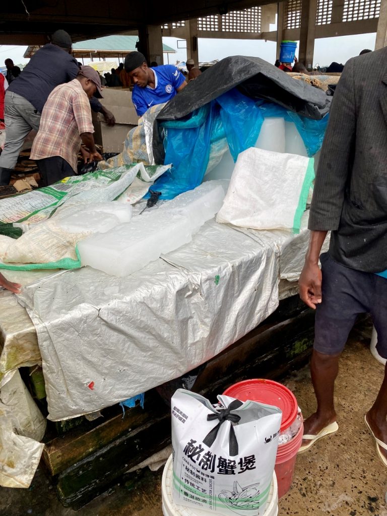Kivukoni fish market visit