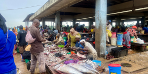 ferry_fish_market